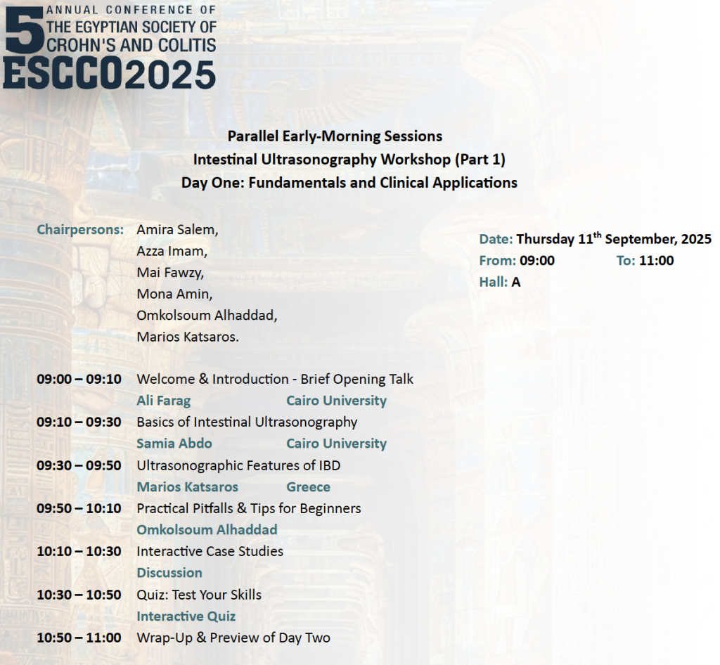 Program IUS workshop Egypt