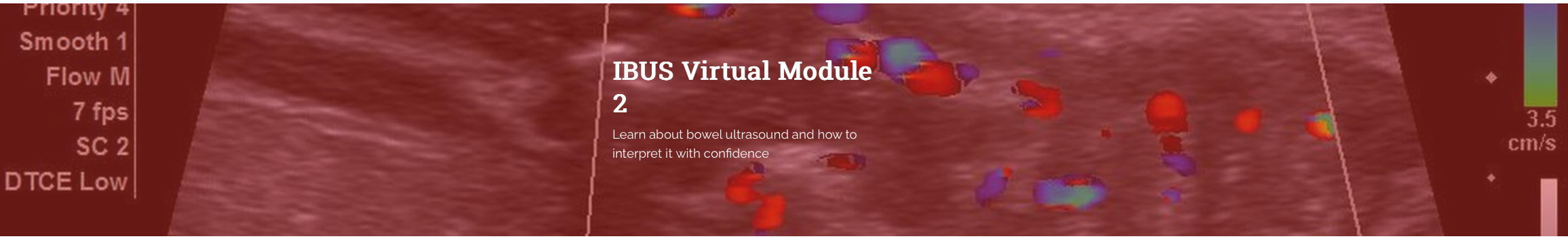 Virtual Module 2 Website 2